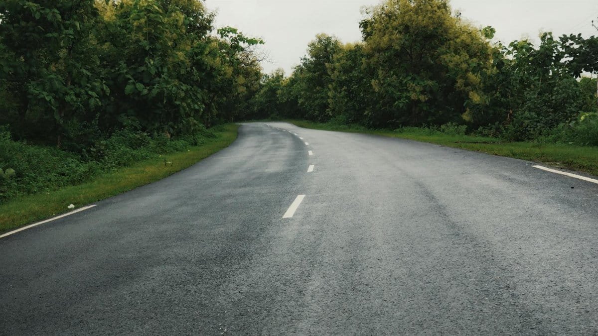 An empty curved asphalt road surrounded by lush green trees, perfect for travel and nature themes.