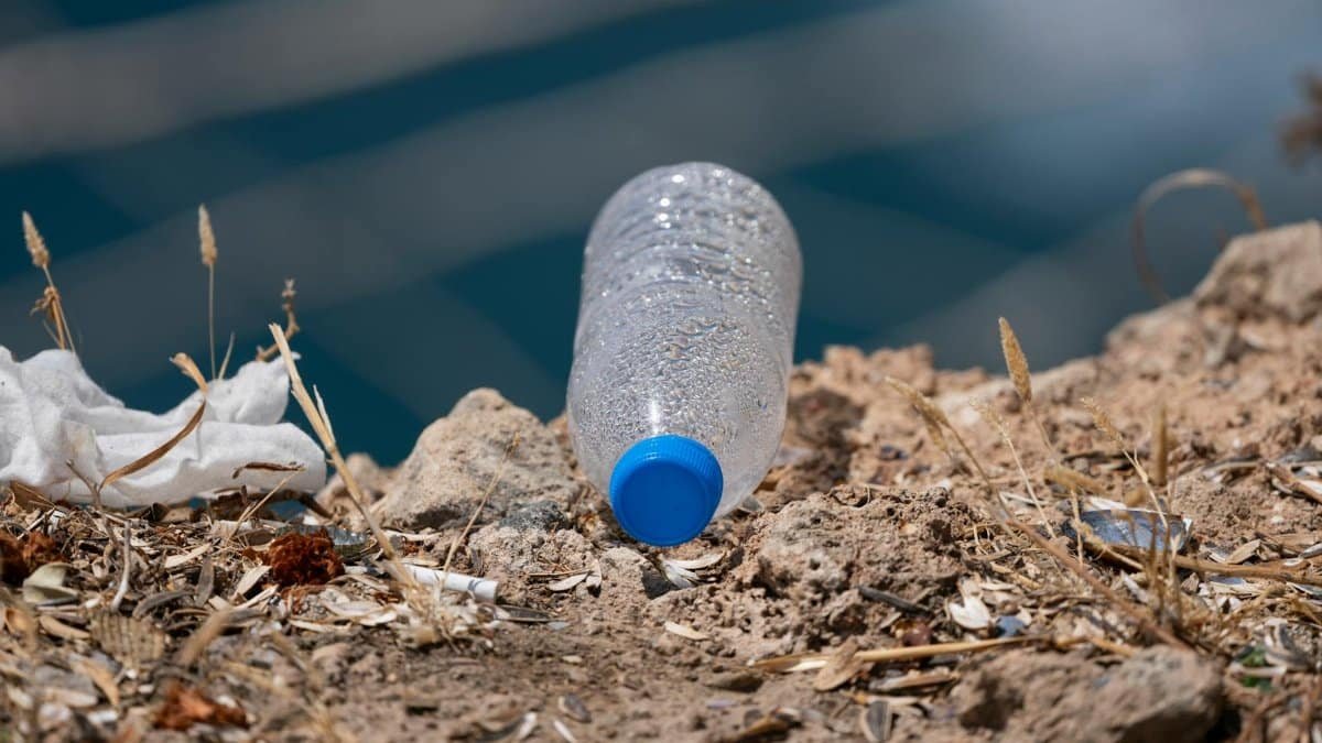 A discarded plastic bottle lies on a natural shoreline, highlighting pollution issues.