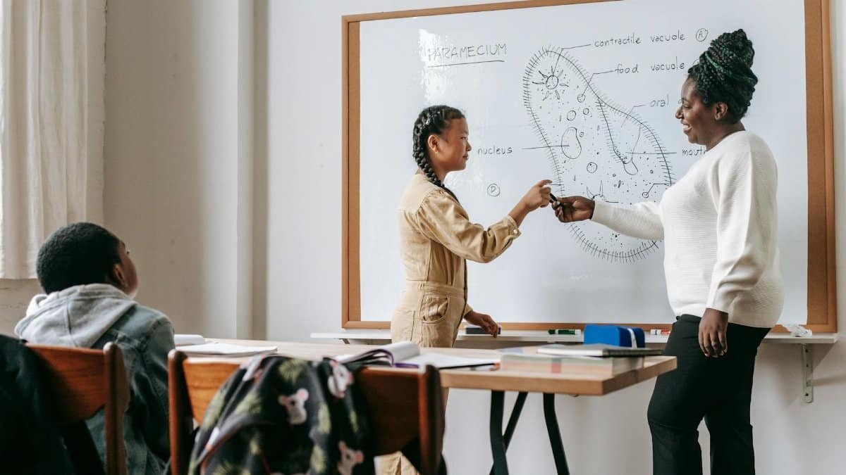 Side view of African American female teacher standing near whiteboard with student during lesson in school