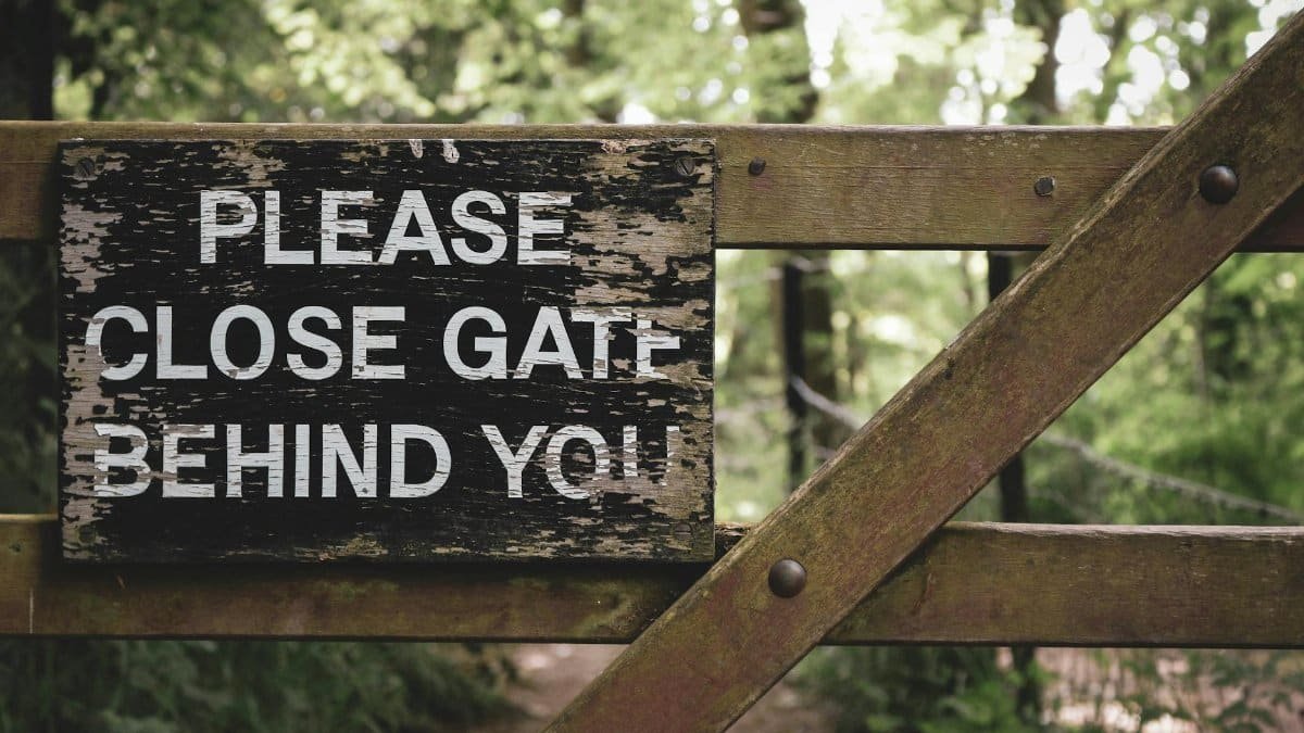 Weathered wooden gate sign reading 'Please Close Gate Behind You' in a lush green woodland.