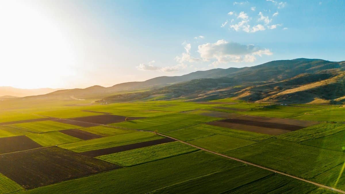 Expansive green fields under a vibrant sunset sky, showcasing rural beauty and tranquility.