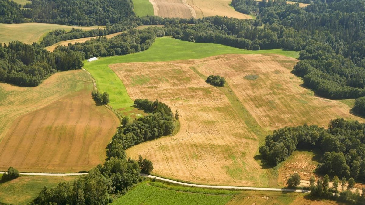 Captured from above, this verdant farmland with brown pasture paints a serene countryside scene.