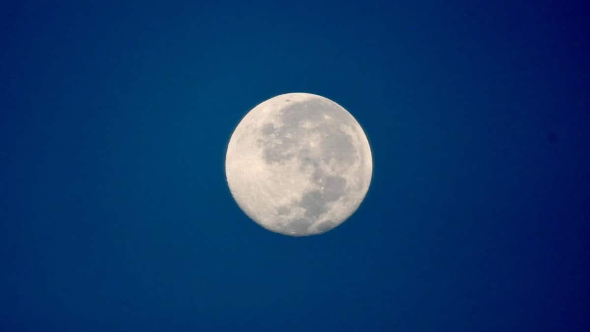 A detailed shot of a bright full moon set against a deep blue evening sky.