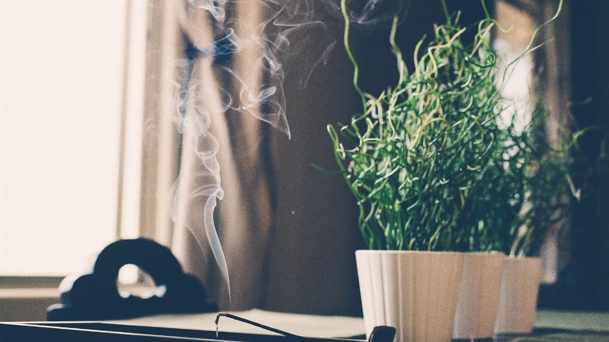 A peaceful indoor setting featuring a potted plant and burning incense stick with smoke.