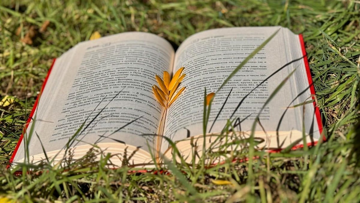Open book resting on grass with a leaf bookmark, symbolizing relaxed reading in nature.