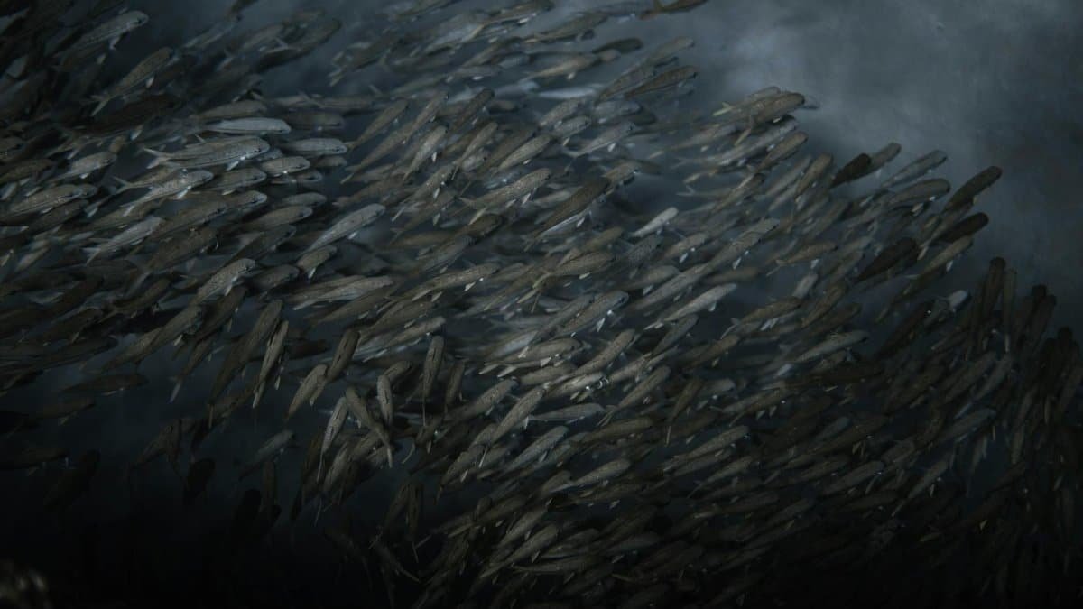 A mesmerizing view of a large school of fish swimming underwater, showcasing marine life dynamics.