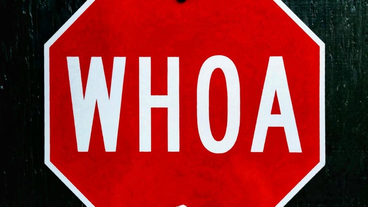 A bold red octagonal sign with 'WHOA' text, evoking humor and surprise.