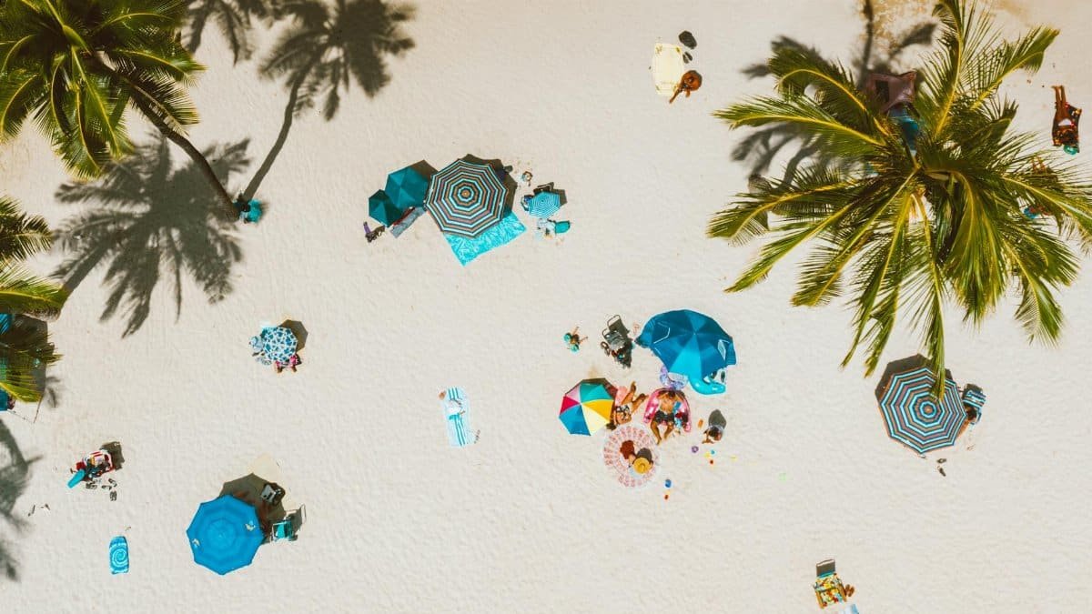 Drone shot of a sunlit tropical beach showcasing palm trees, colorful umbrellas, and relaxing tourists on pristine sand.