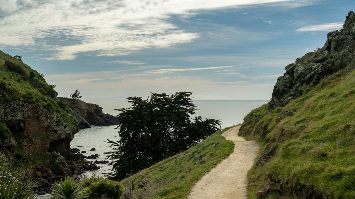Scenic coastal trail with lush greenery leading to the sea in Christchurch, New Zealand.
