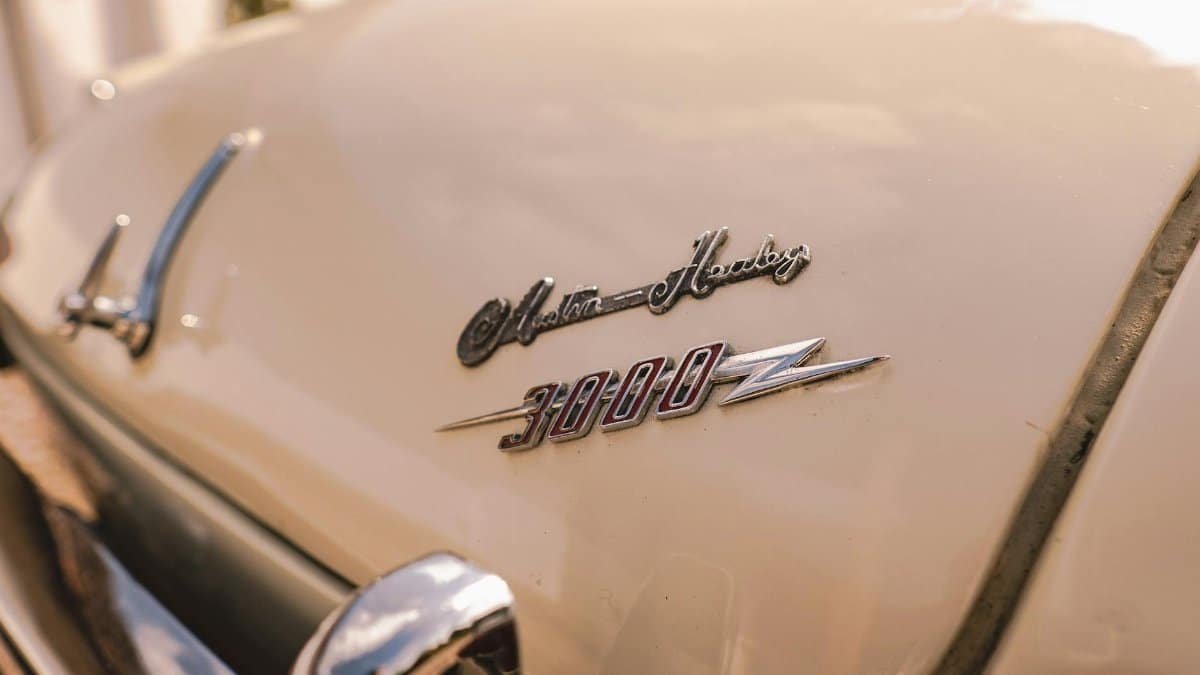 Detailed view of the Austin Healey 3000 badge on a vintage English sports car.