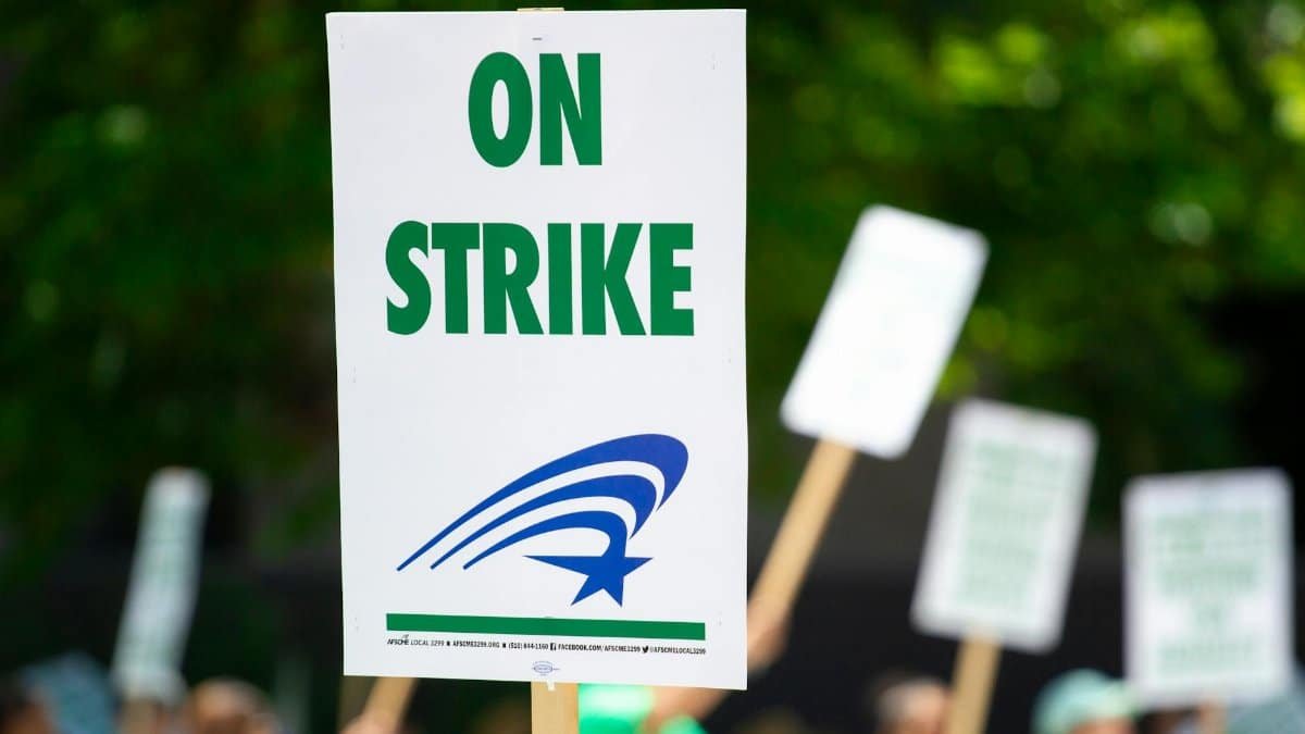 A protest sign with 'On Strike' text held during an outdoor demonstration, highlighting labor movements.