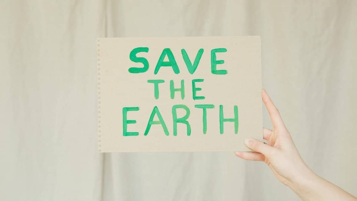 Hand holding a cardboard sign with 'Save the Earth' message advocating environmental conservation.