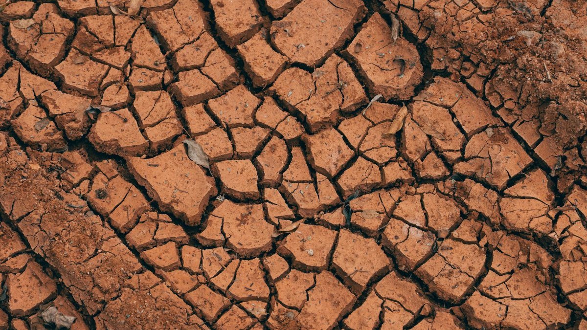 Close-up of cracked red soil, illustrating drought effects.