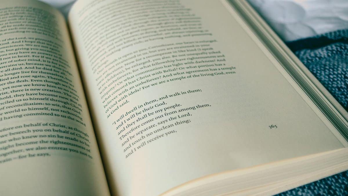 Close-up of an open book with visible text, set against a cozy background, perfect for education themes.