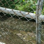 Close-up of a rusty chain link fence with greenery and water in the background.