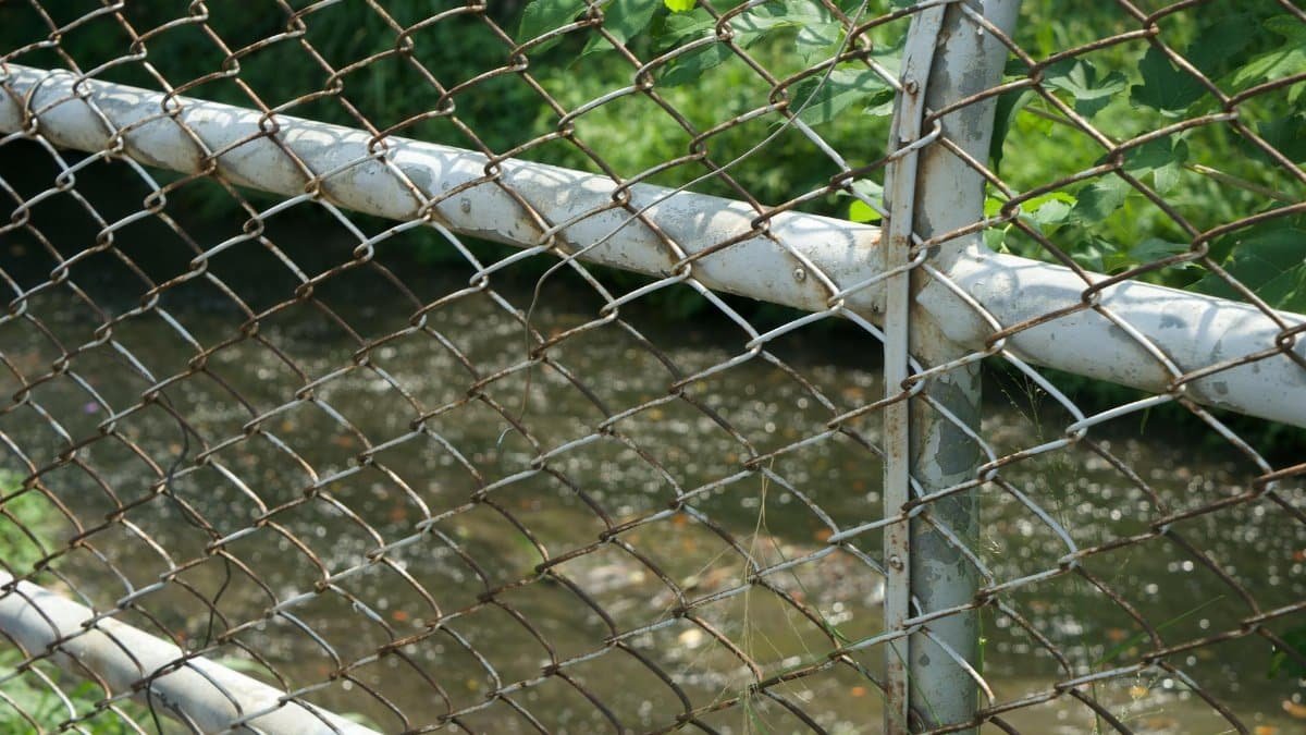 Close-up of a rusty chain link fence with greenery and water in the background.