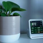 A modern air quality monitor next to a green plant on an indoor table, measuring CO2 levels.