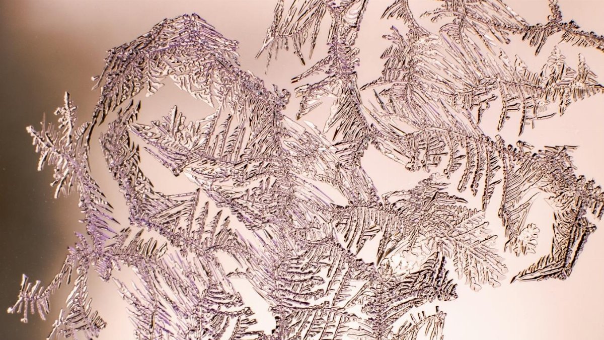 A close-up view of intricate frost patterns on glass, capturing the delicate beauty of winter.