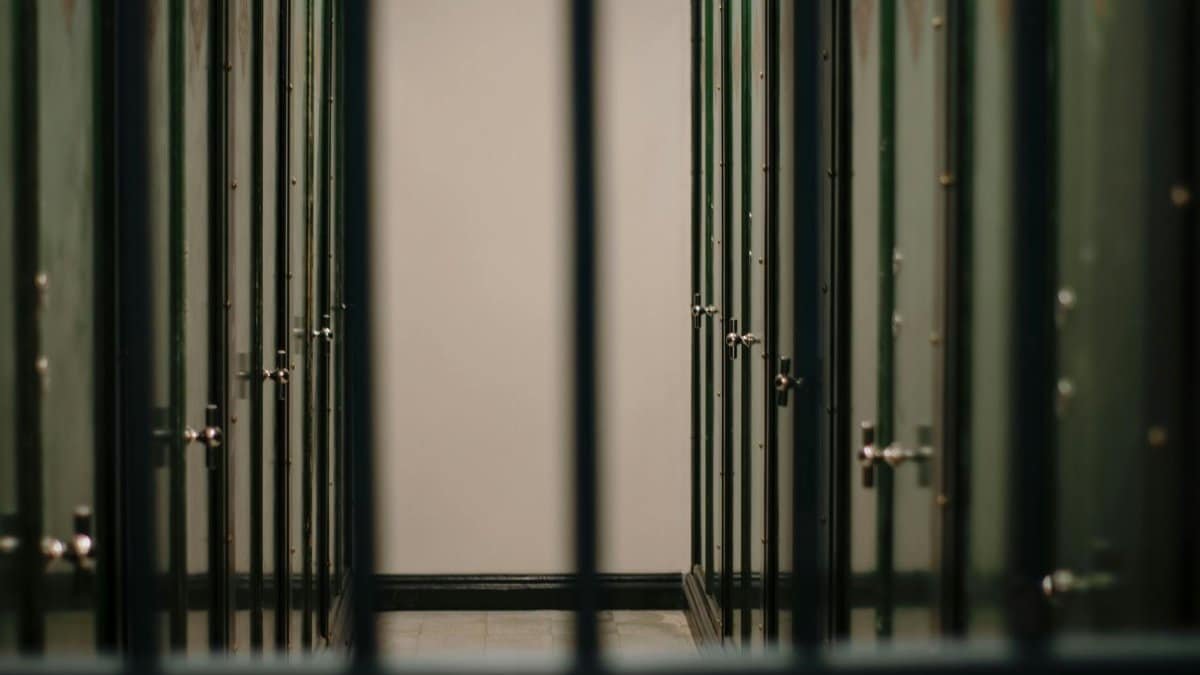 A serene interior view of a locker room featuring rows of green lockers and a calming atmosphere.