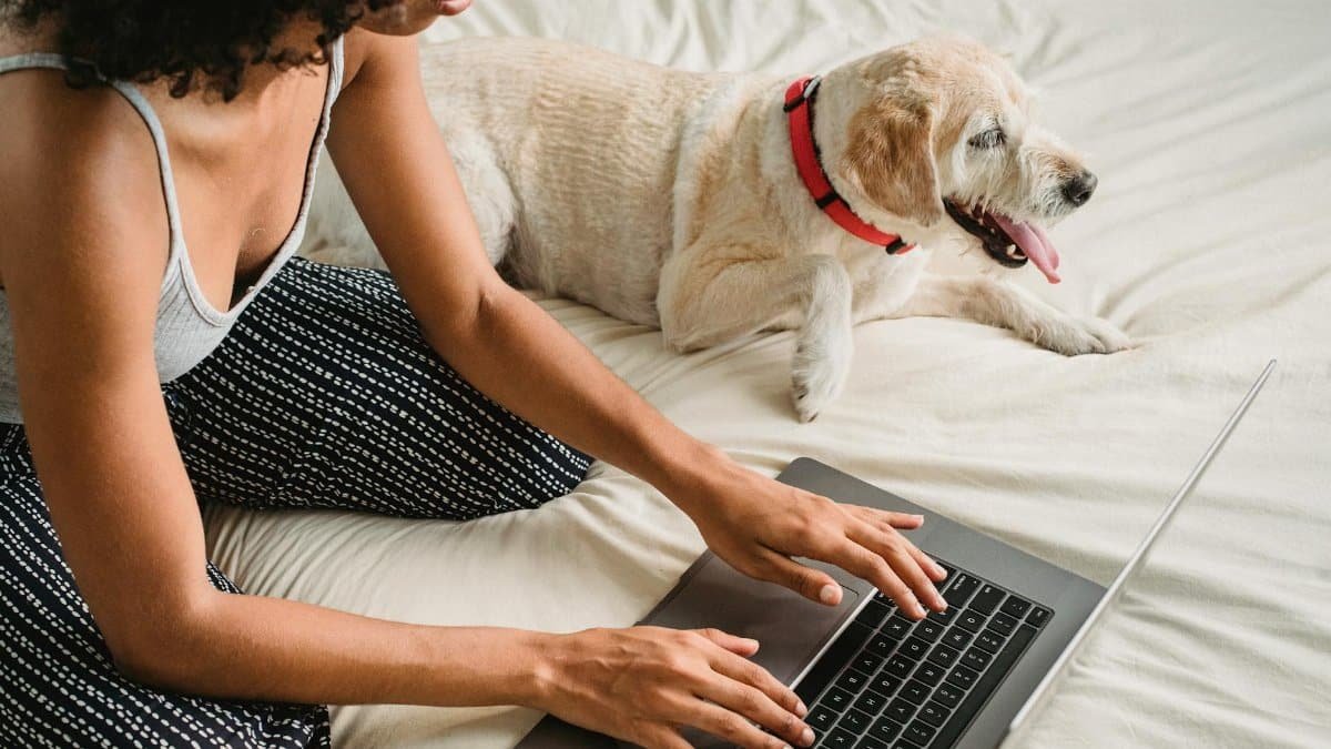 A woman works on her laptop in a cozy bedroom with her pet dog relaxing beside her.