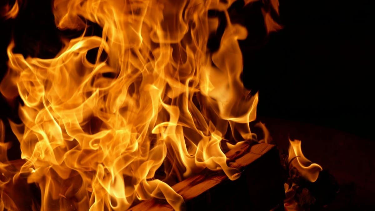 Vibrant campfire flames burning brightly against a dark night background.