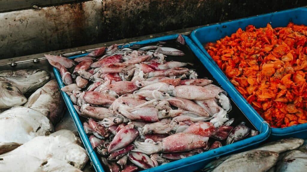 A vibrant display of fresh seafood including squid, fish, and shellfish at a market in Surabaya, Indonesia.