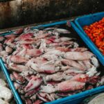 A vibrant display of fresh seafood including squid, fish, and shellfish at a market in Surabaya, Indonesia.