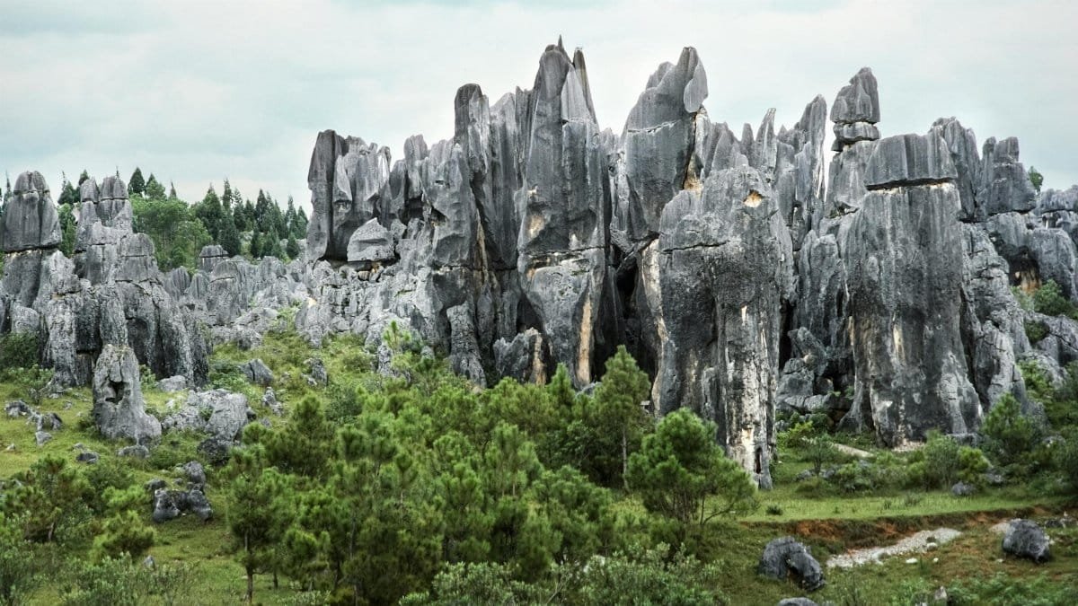 Dramatic karst formations in the Stone Forest, capturing natural beauty.