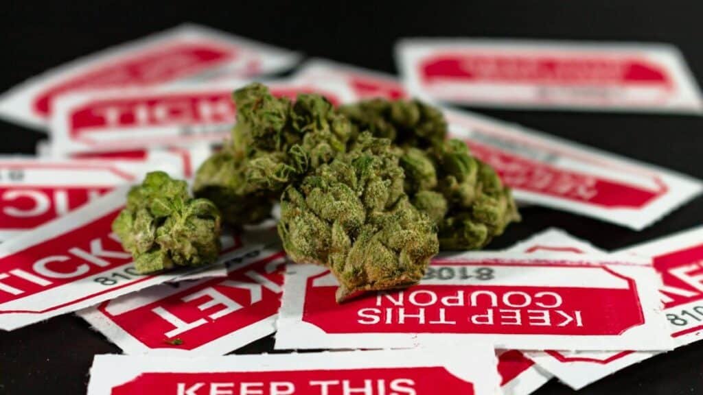 Close-up of cannabis buds with red and white ticket stubs in the background on a dark surface.