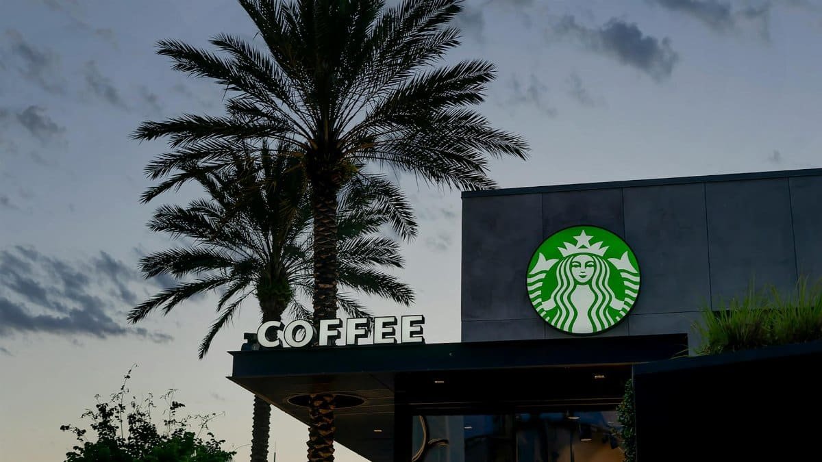 Starbucks café exterior with palm trees at dusk in Orlando, Florida.