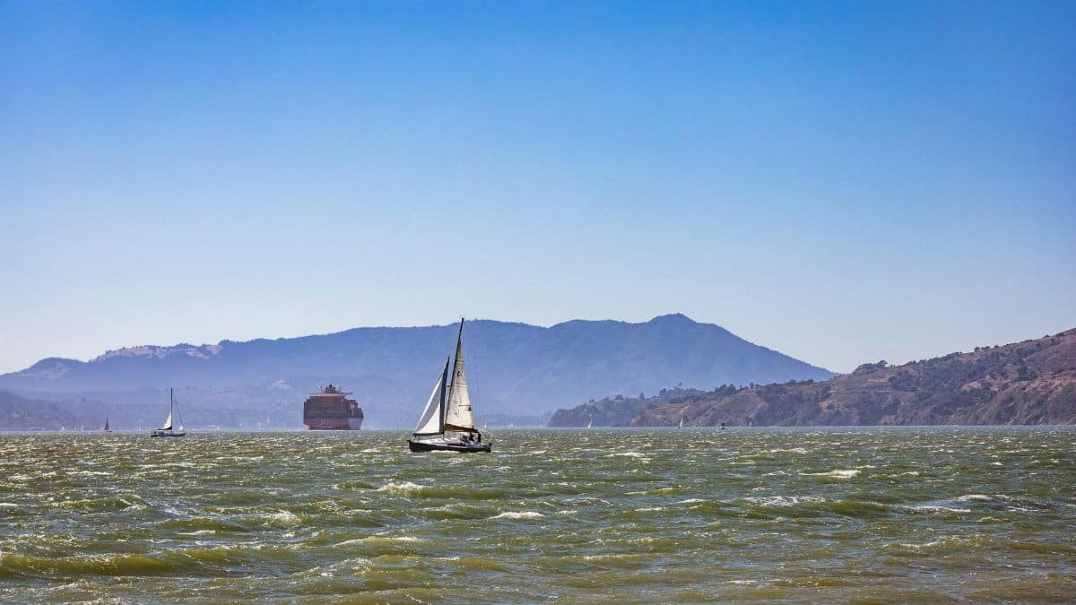 Sailboats navigate San Francisco Bay's azure waters with scenic hills in the backdrop.