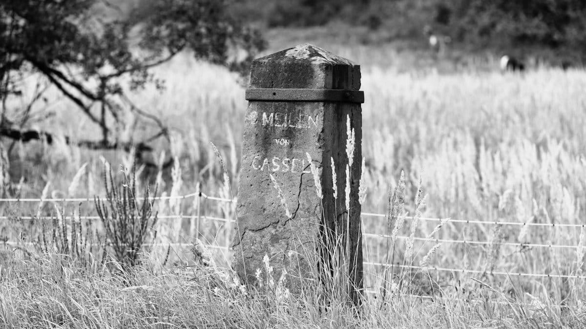 Black and white photo of an old milestone in a Kassel meadow, surrounded by tall grasses.