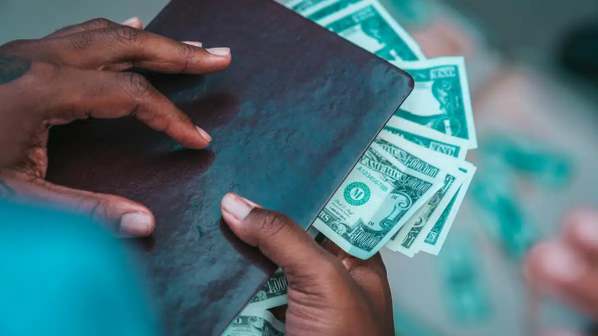 Close-up of hands holding a leather wallet and dollars, showcasing wealth and finance.