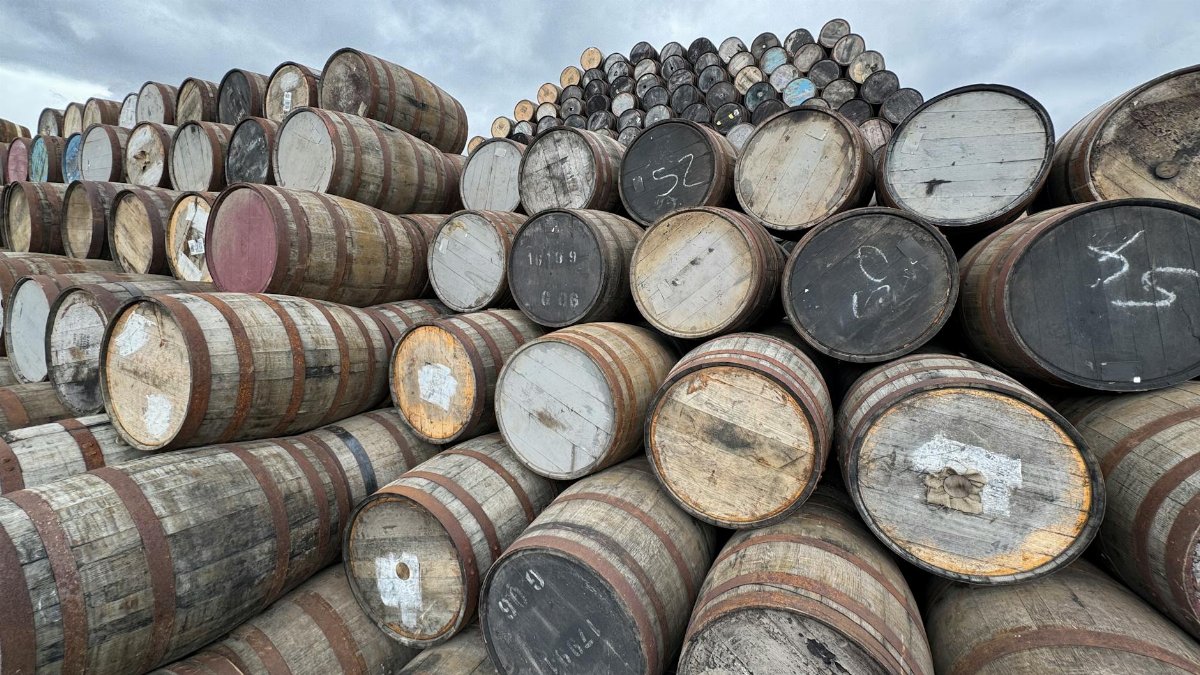 Rows of oak barrels at a Scottish distillery, ideal for whiskey production imagery.