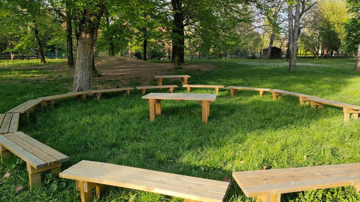 Circular wooden benches in a tranquil park surrounded by lush green trees.