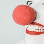 Bright close-up of a clown's face with red nose and makeup, showcasing humor and joy.