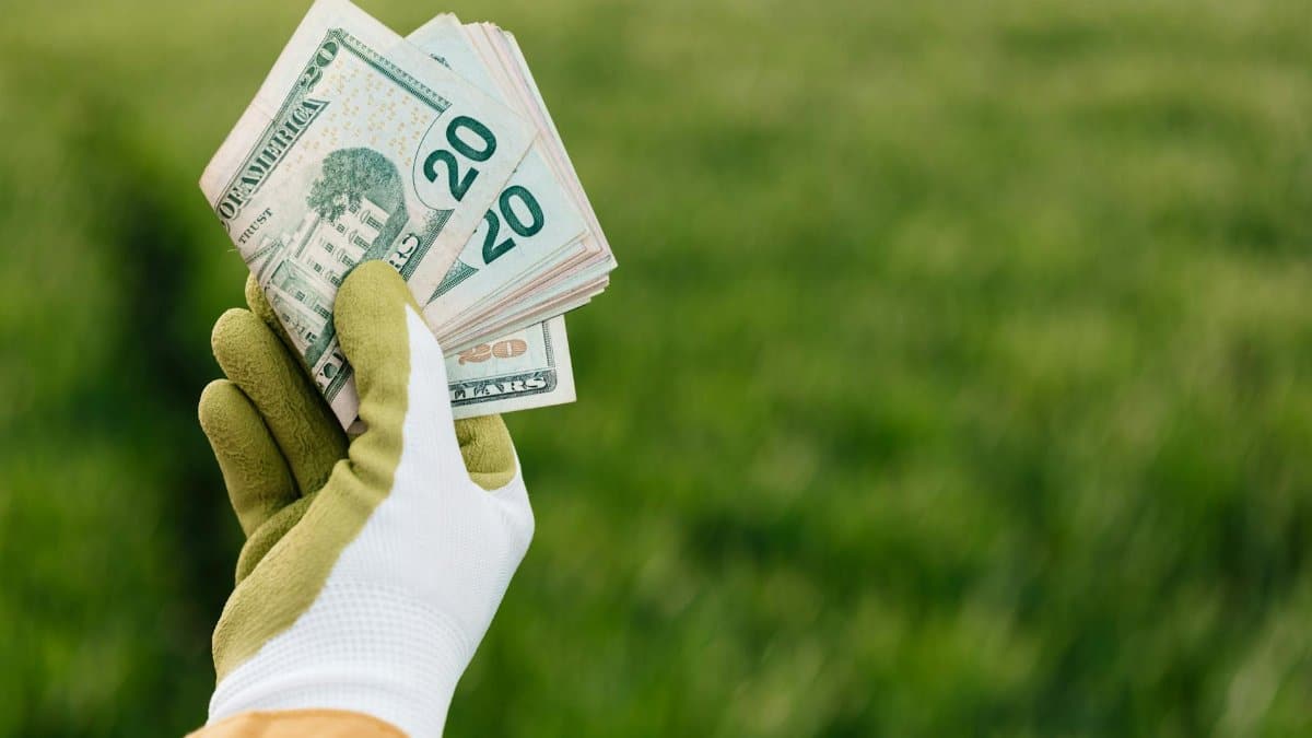 Crop anonymous gardener in gloves showing American paper money with number twenty and photo of building on blurred background with green field in daylight