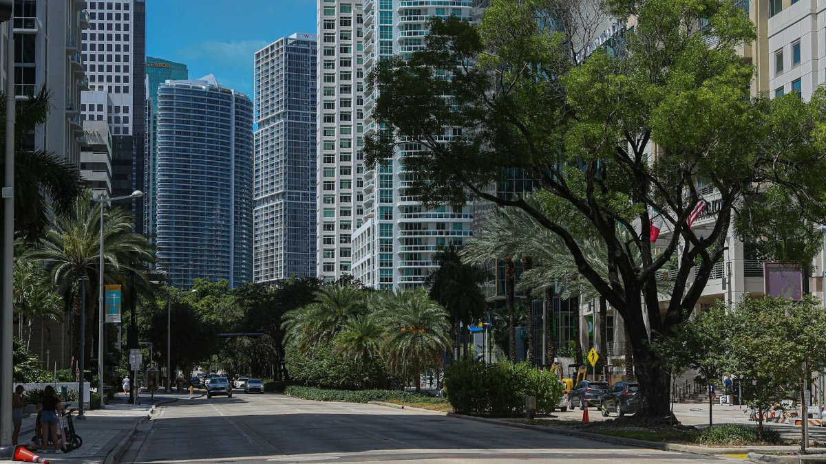 Lively street in downtown Miami featuring skyscrapers and lush palm trees under a bright blue sky.