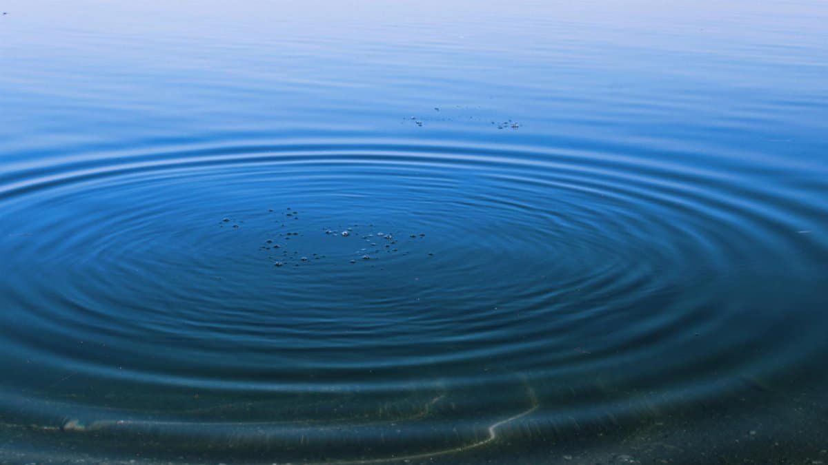 Peaceful scene of ripples expanding across a calm blue water surface.