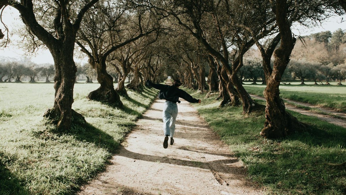 A person joyfully jumps on a sunlit dirt path lined with olive trees, embracing freedom and nature.
