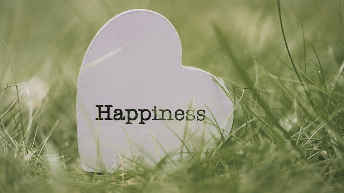 A heart-shaped sign with 'Happiness' text nestled among green grass, symbolizing joy and encouragement.