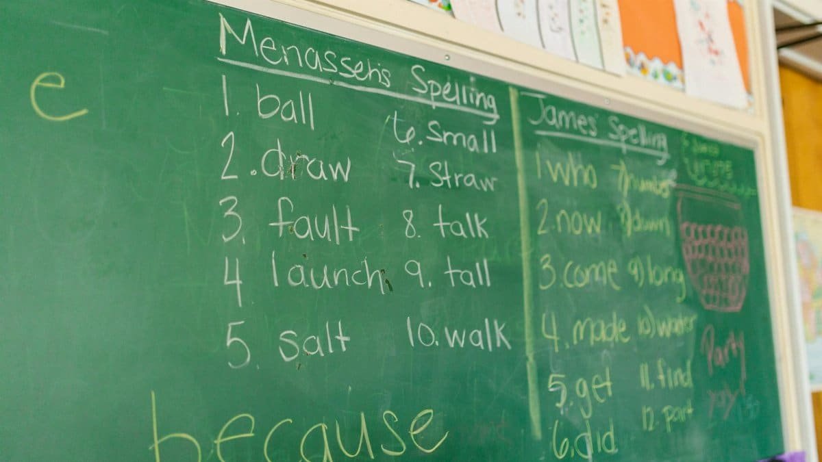 A classroom chalkboard featuring spelling lists and handwriting, ideal for education-themed content.