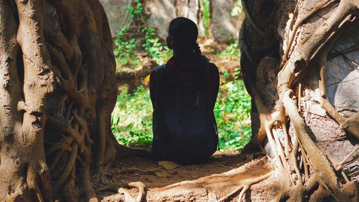 A person sits among large entwined tree roots, capturing a serene moment in nature.
