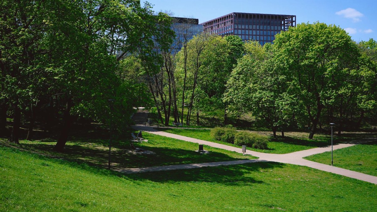 Green park landscape with pathways and trees, showcasing urban harmony with nature.