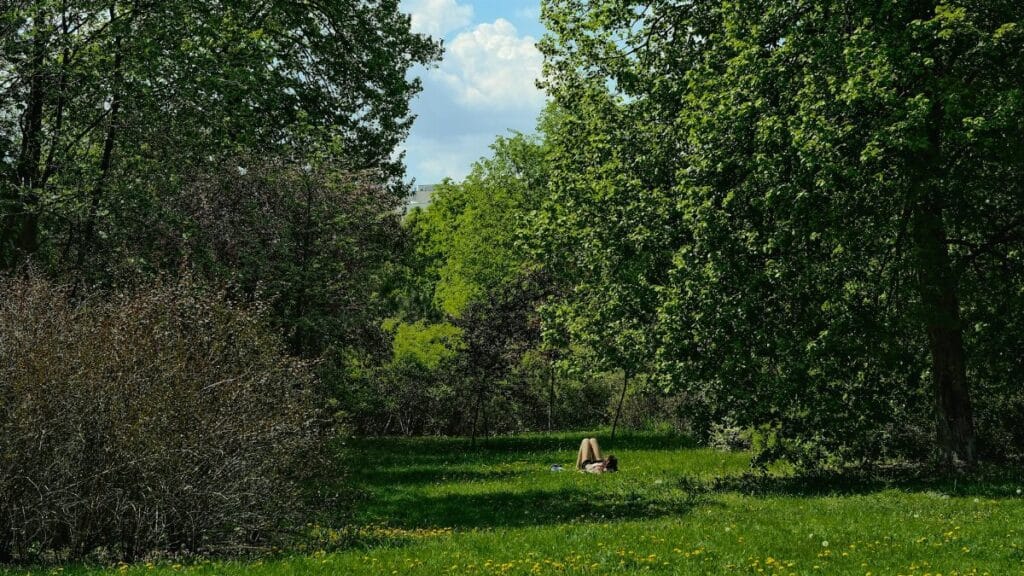 Person lying on grass in a lush green park surrounded by trees.