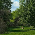 Person lying on grass in a lush green park surrounded by trees.