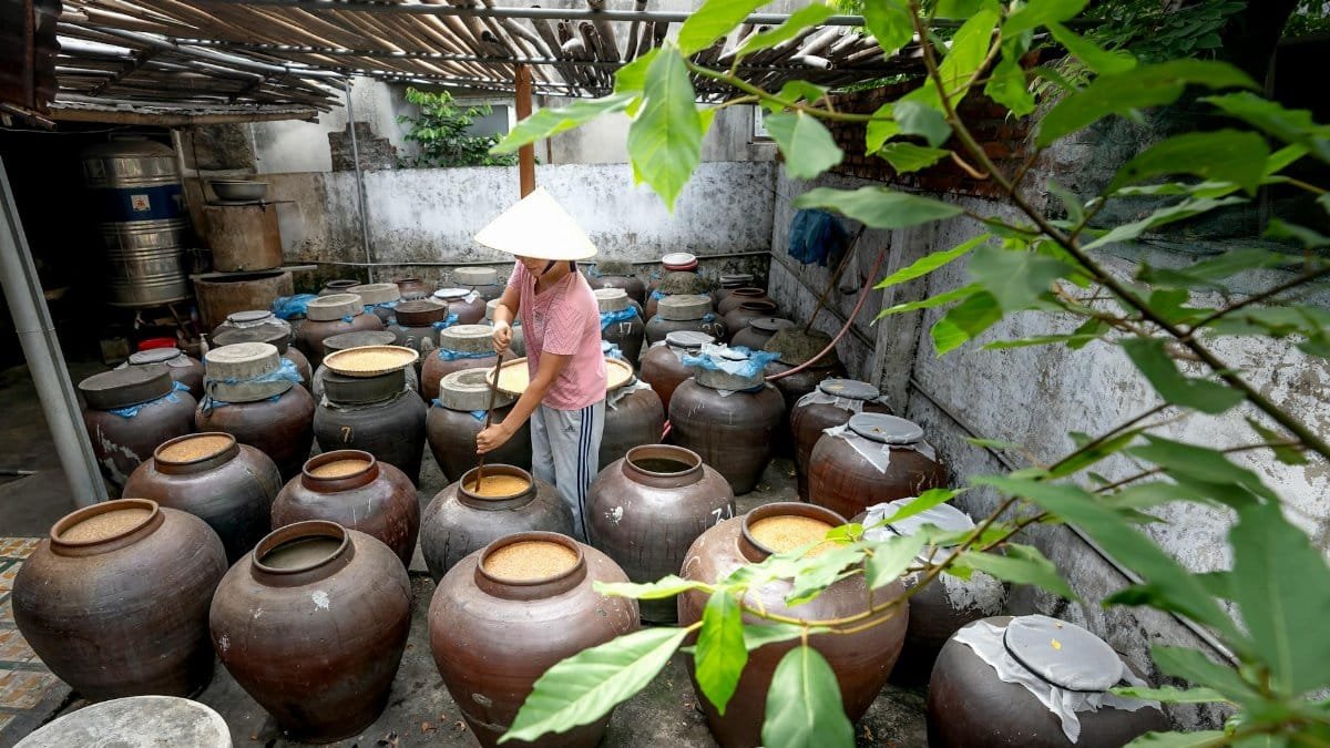A person tends to large ceramic pots in an outdoor fermentation yard.