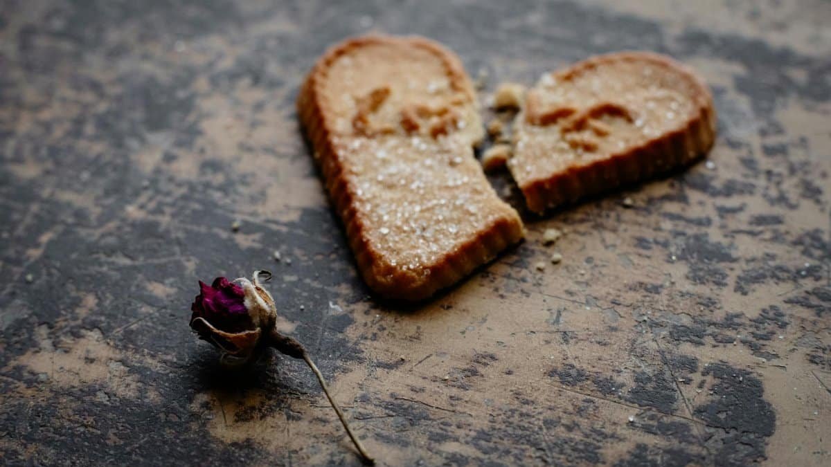 Broken heart-shaped cookie with a dry rose symbolizes love and heartbreak.