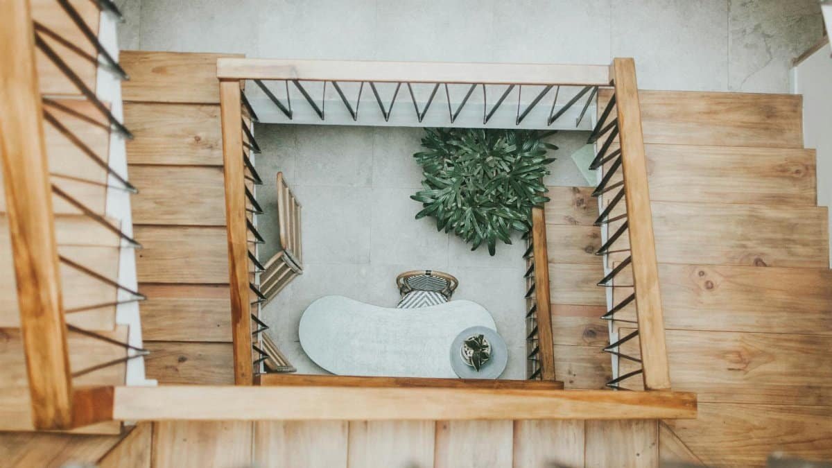 Top view of a modern wooden staircase featuring a plant and minimalist decor.