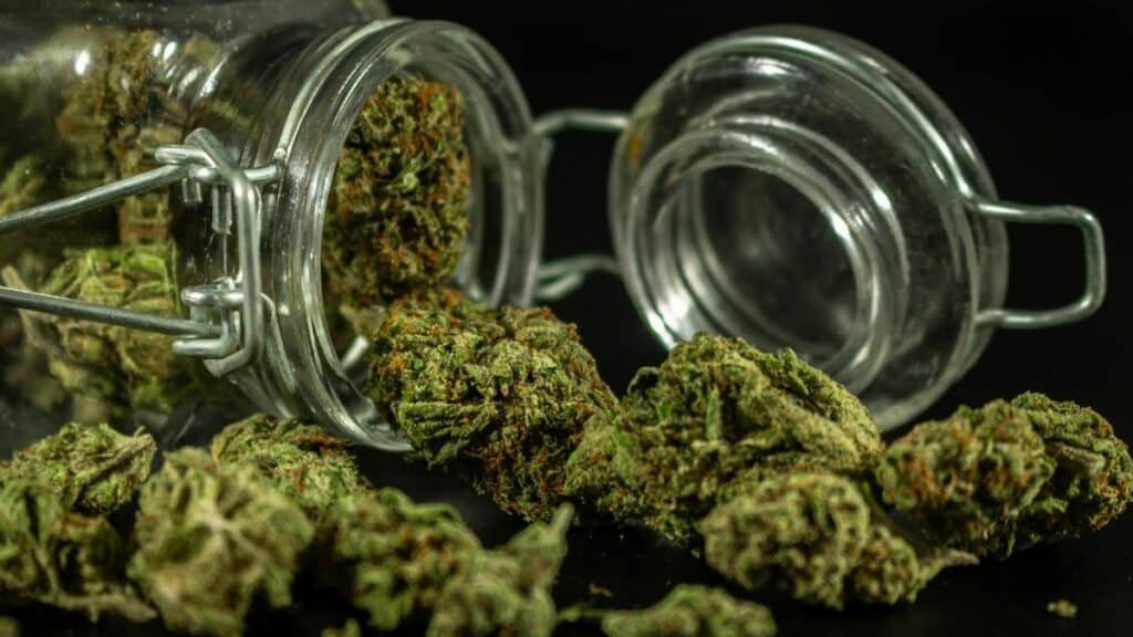 Detailed image of cannabis buds spilling out of a glass jar.